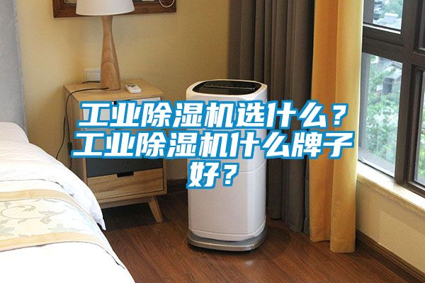 工業(yè)除濕機(jī)選什么？工業(yè)除濕機(jī)什么牌子好？