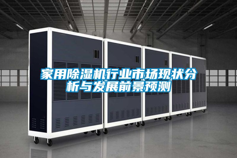 家用除濕機行業(yè)市場現(xiàn)狀分析與發(fā)展前景預(yù)測