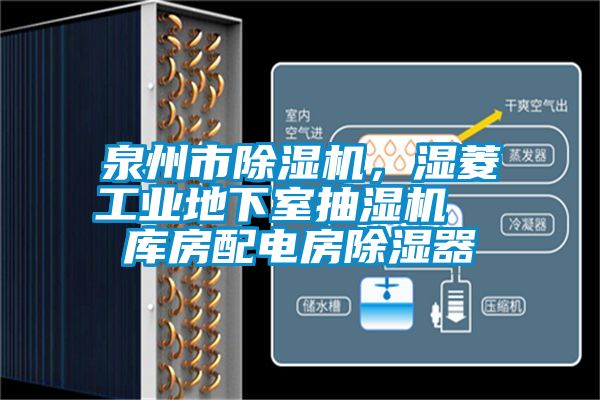 泉州市除濕機(jī)，濕菱工業(yè)地下室抽濕機(jī)  庫(kù)房配電房除濕器