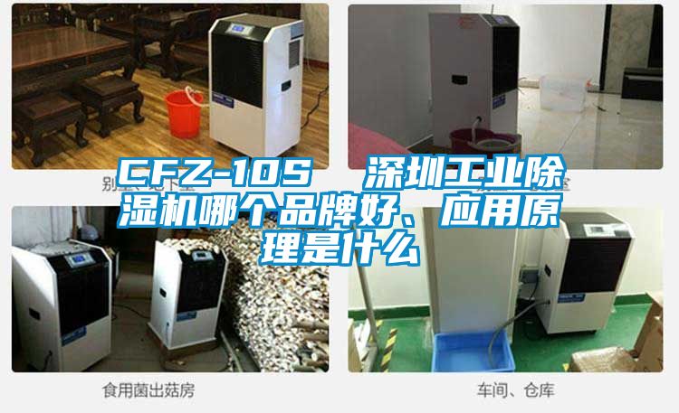 CFZ-10S  深圳工業(yè)除濕機哪個品牌好、應(yīng)用原理是什么