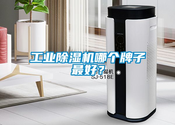 工業(yè)除濕機(jī)哪個(gè)牌子最好？