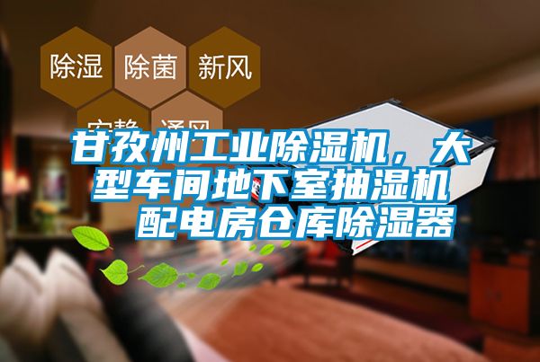 甘孜州工業(yè)除濕機，大型車間地下室抽濕機  配電房倉庫除濕器