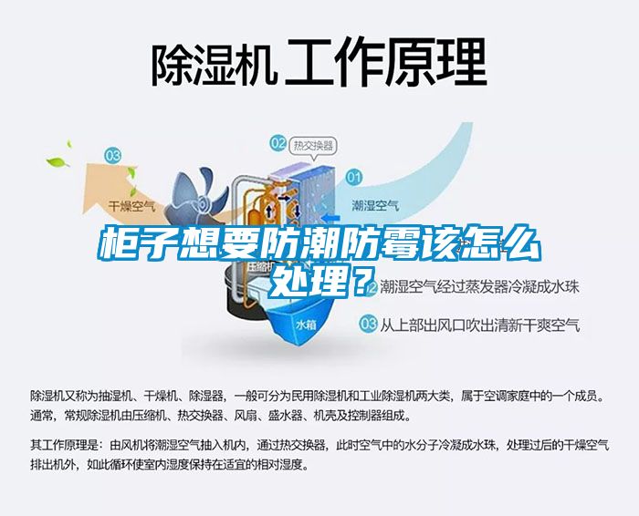 柜子想要防潮防霉該怎么處理？
